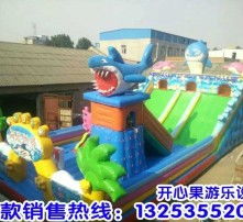 高清圖片與氣模玩具 視覺(jué)盛宴與歡樂(lè)體驗(yàn)的完美結(jié)合